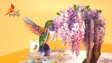 CUTPOPUP Humming Bird Wisteria Pop Up Birthday Cards for Women, 3D Birthday Flowers Greeting Card for Her Wife Mum Valentines Card Anniversary Happy Mothers Day Cards (Wisteria) US8-AN162UK